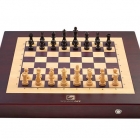 Grand Kingdon Chess set