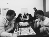 Sydney Chess Club in action